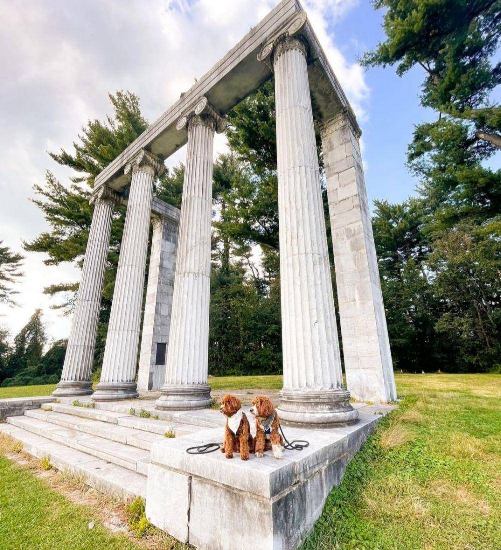 Princeton and The Battlefield State Park (instagram.com/adventuresofteddyandleo)