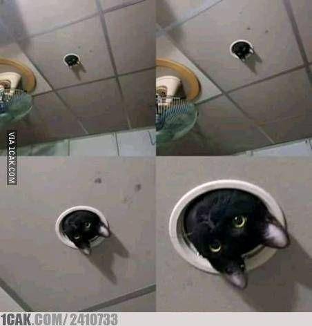 CCTV low budget (1cak.com)
