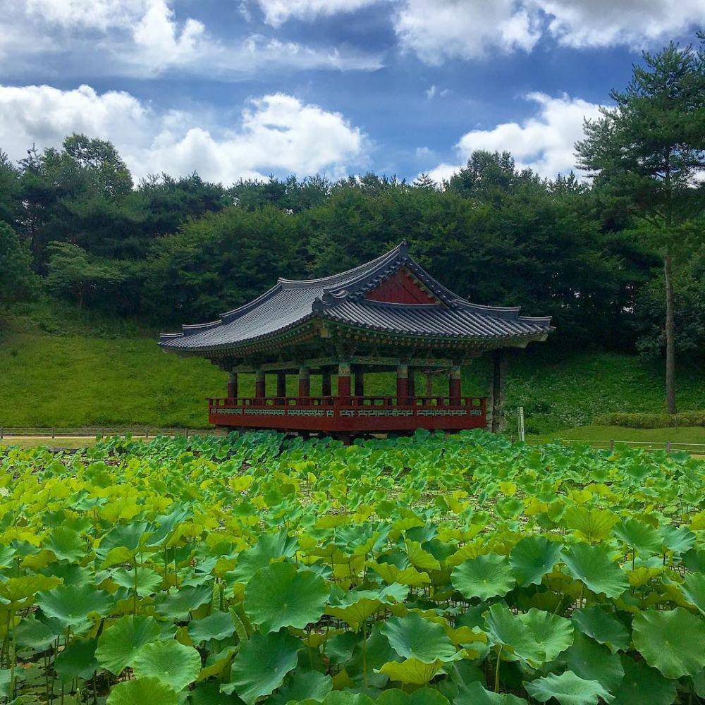 potret kompleks Baekje Cultural Land (instagram.com/baekje_culturalland)