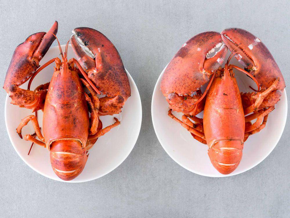 Lobster rebus (thespruceeats.com)