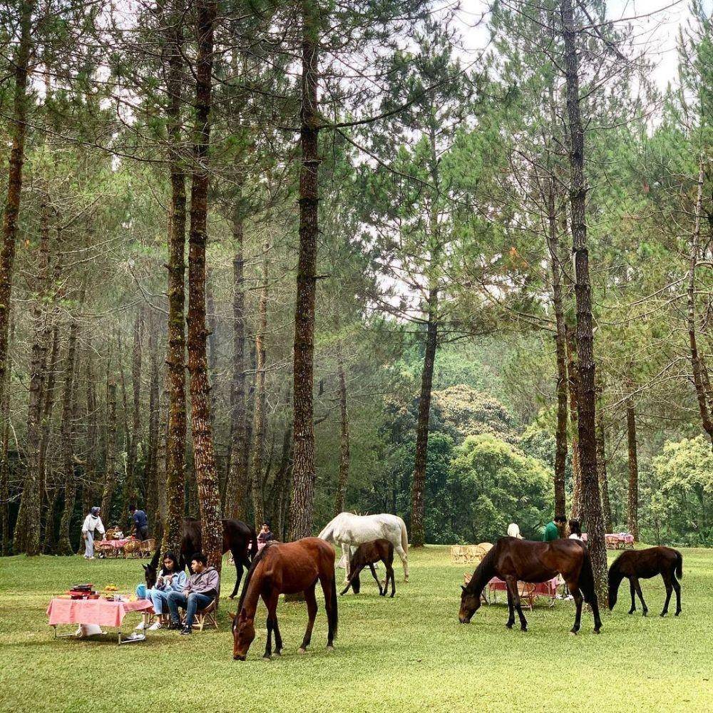 Jungle Milk, Bandung (instagram.com/junglemilklembang)