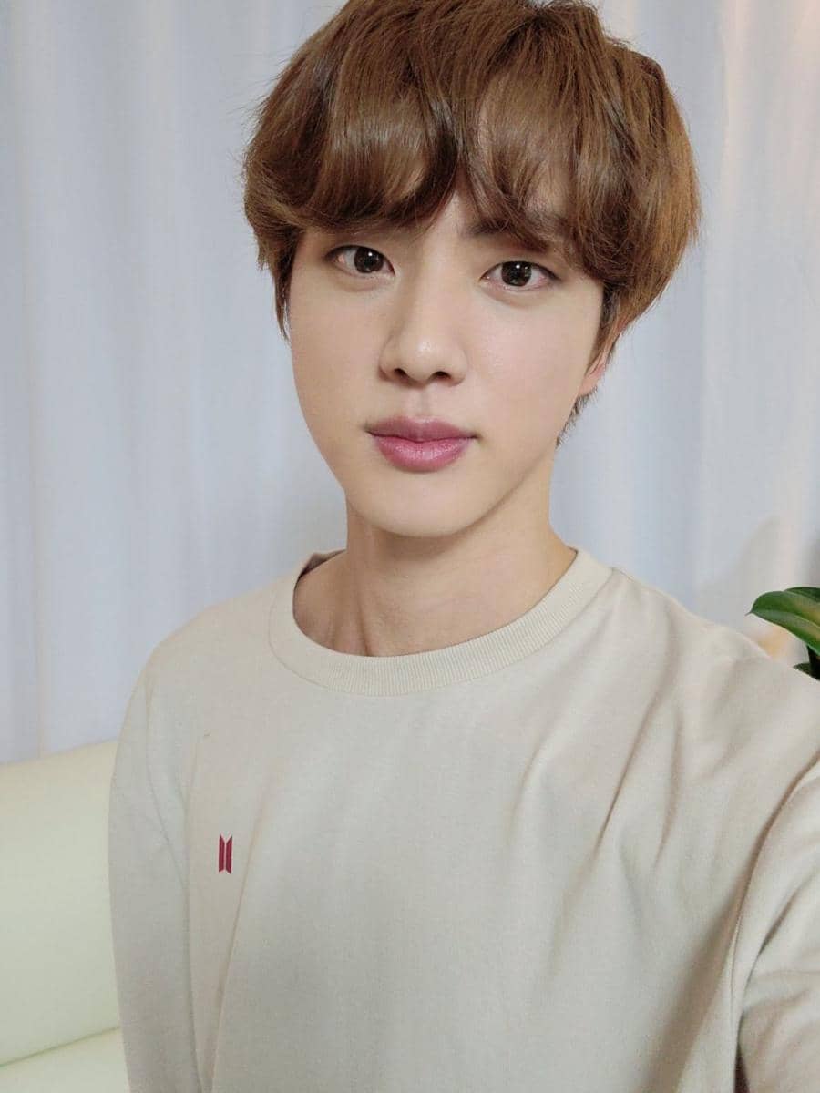Kim Seokjin BTS (twitter.com/BTS_twt)