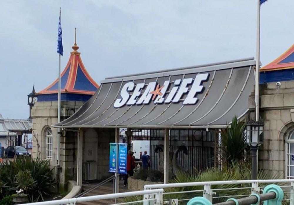 Sea Life Brighton (instagram.com/sampinnnerr)