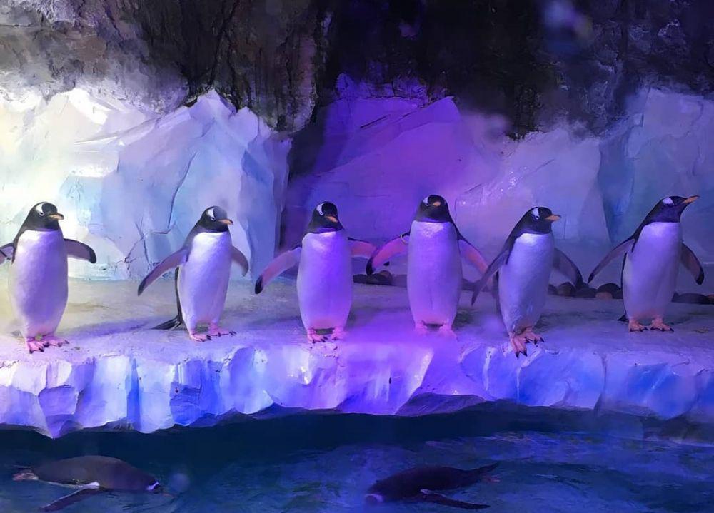 National Sea Life Centre (instagram.com/dayoutwiththekids)