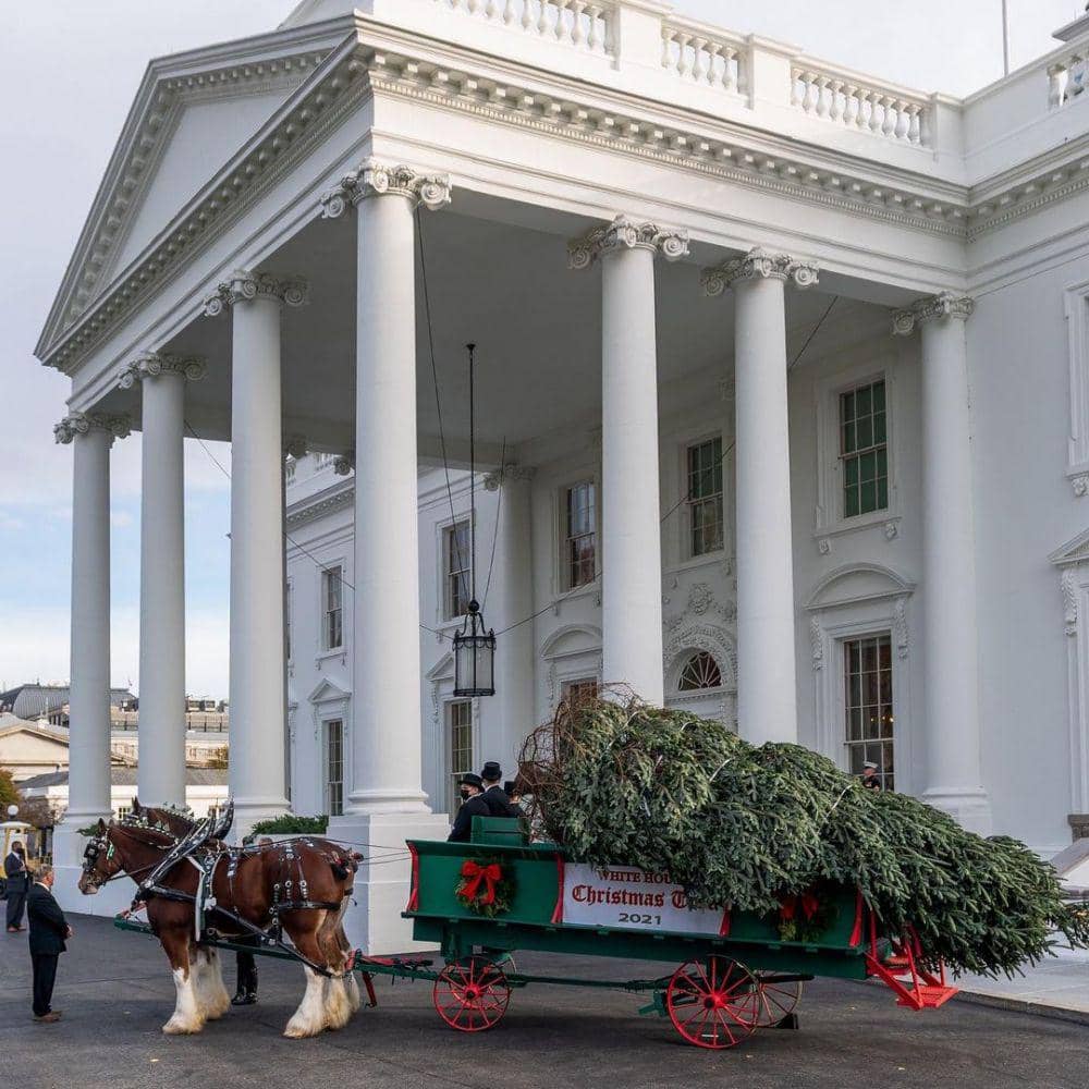 potret dekorasi Natal di Gedung Putih (instagram.com/flotus)