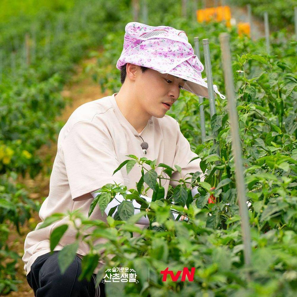 potret Jo Jung Seok dalam Three Meals A Day Doctors (instagram.com/hospitalplaylist_official)