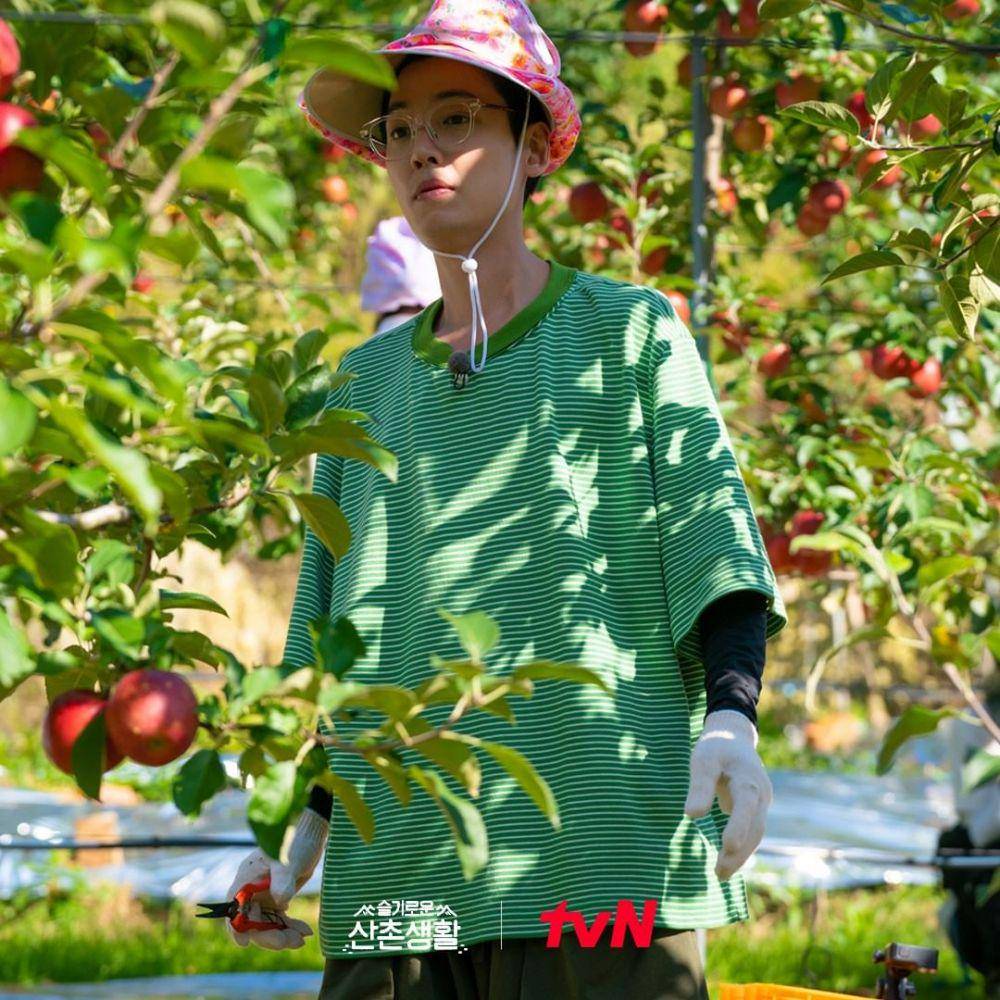 potret Jung Kyung Ho dalam Three Meals A Day Doctors (instagram.com/hospitalplaylist_official)