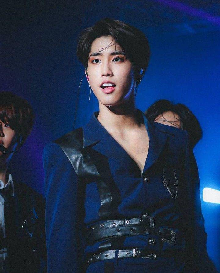 Han Ji Sung, member KPop Idol Stray Kids (instagram.com/han.straykids)