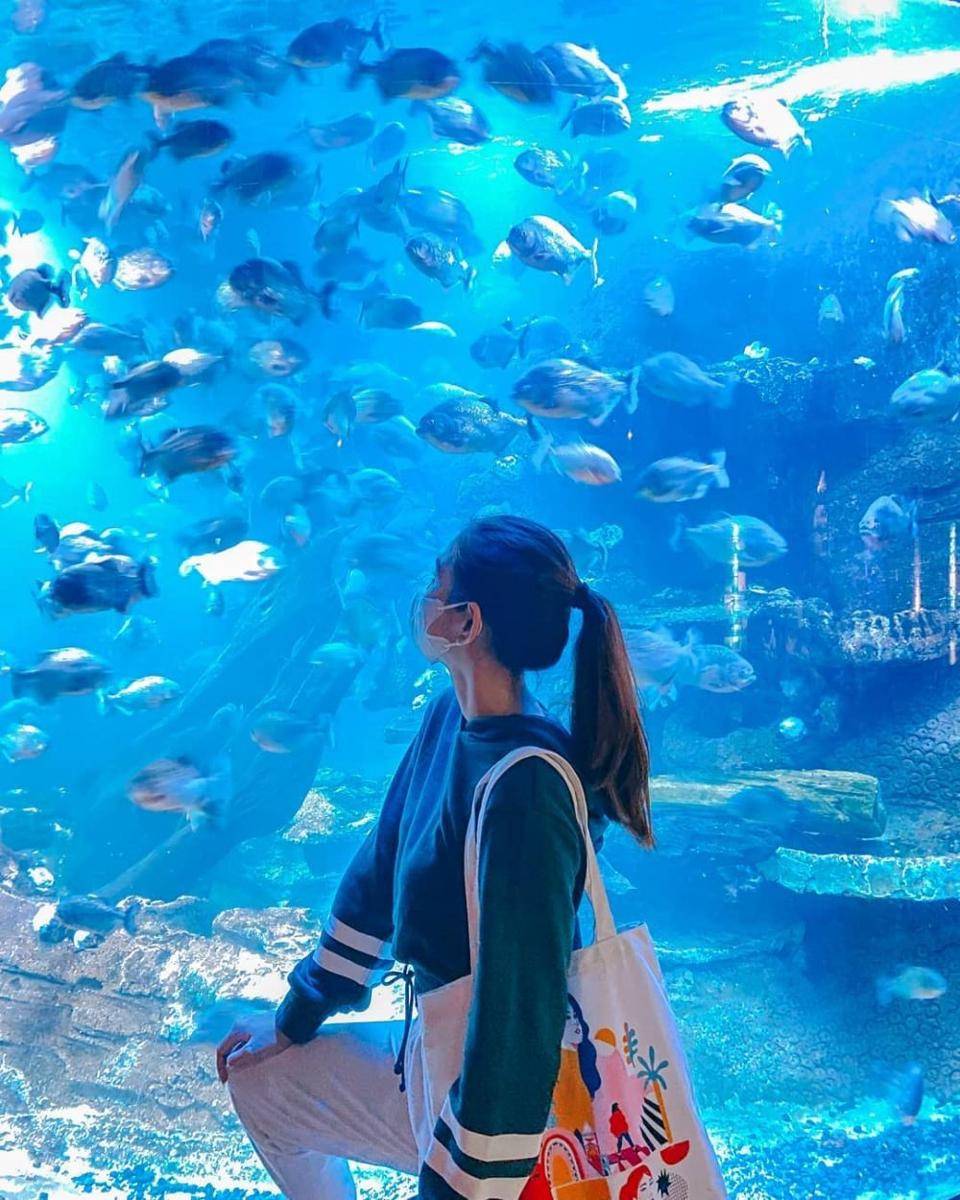 Sea World Ancol, Jakarta Utara (instagram.com/seaworld.ancol)