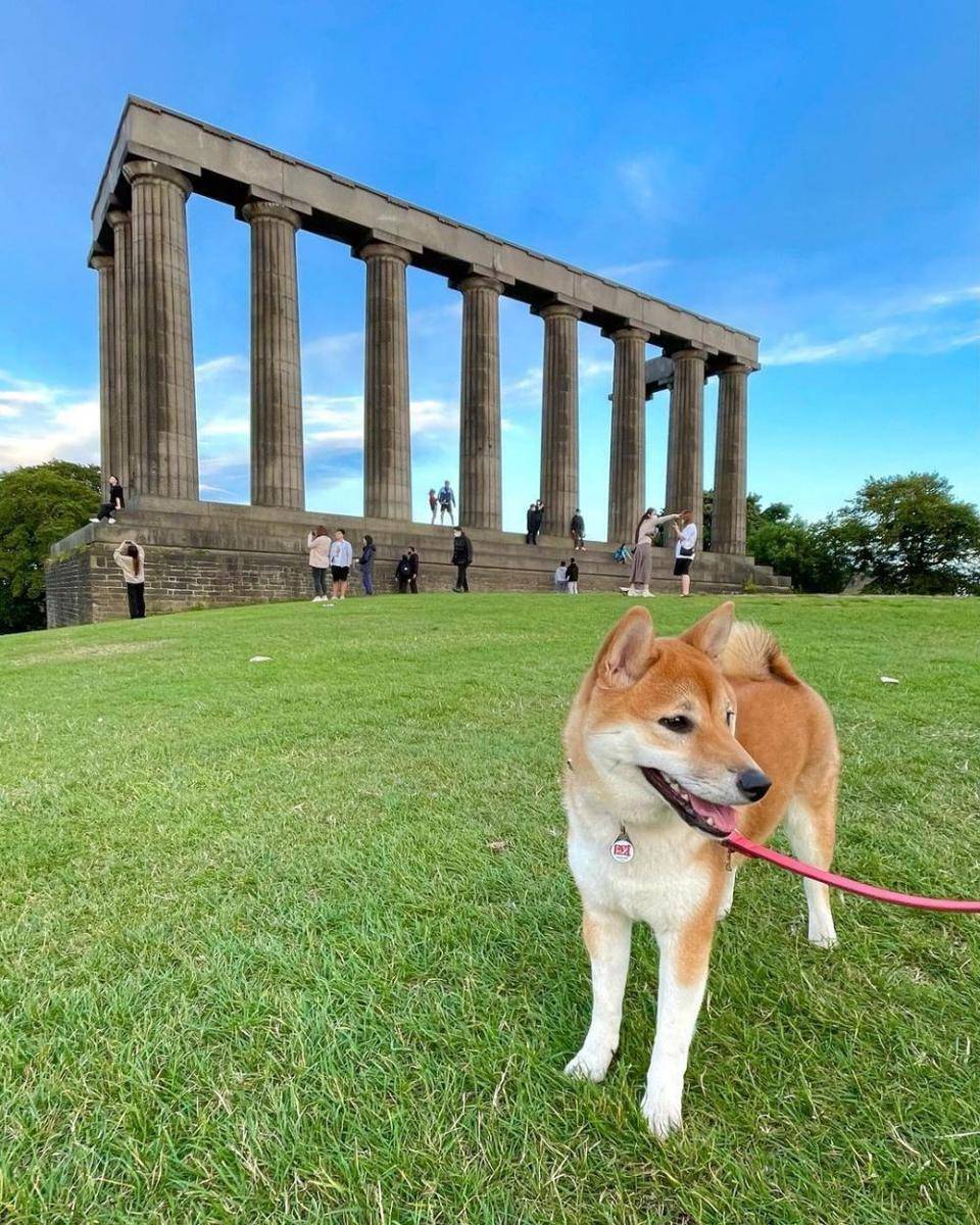 Monumen Nasional (instagram.com/lottie.shiba)