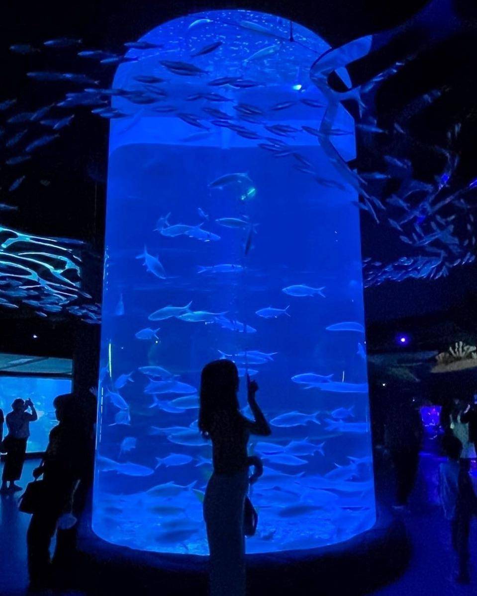 Jakarta Aquarium, Jakarta Barat (instagram.com/melissaanggriawan)