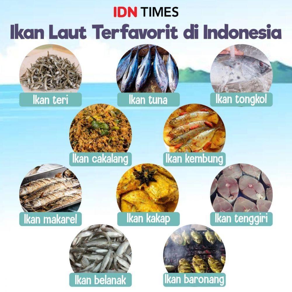 Ikan laut terfavorit (IDN Times/Sukma Mardya Shakti)