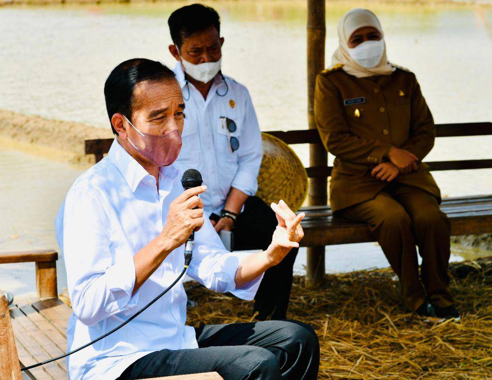 Presiden Joko Widodo bersama para petani di Desa Buluagung, Kecamatan Karangan, Kabupaten Trenggalek, Provinsi Jawa Timur, pada Selasa, 30 November 2021 (dok. BPMI Setpres/Laily Rachev)