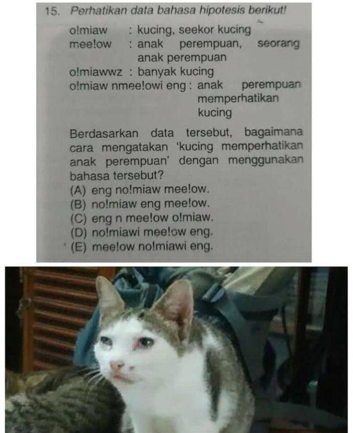 soal pilihan ganda (instagram.com/onecak)