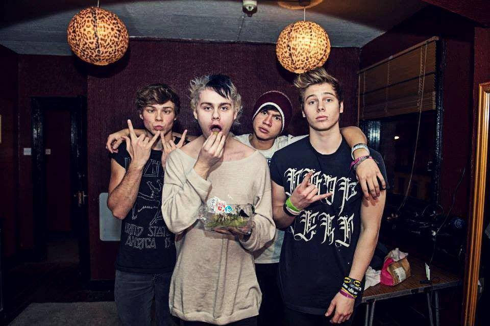 5 Seconds Of Summer di tahun 2013 (twitter.com/surfsupcal)