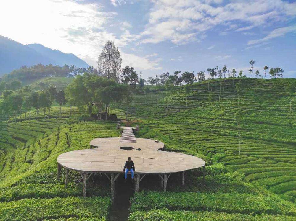 Kebun Teh Sirah Kencong (instagram.com/ledjar_s)