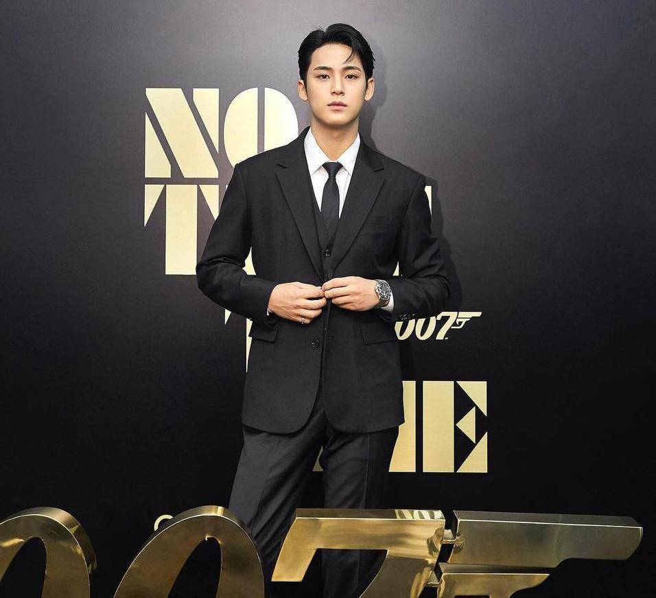 Mingyu SEVENTEEN (instagram.com/min9yu_k)