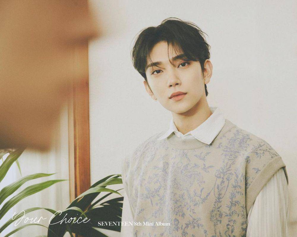 Joshua SEVENTEEN (instagram.com/saythename_17)