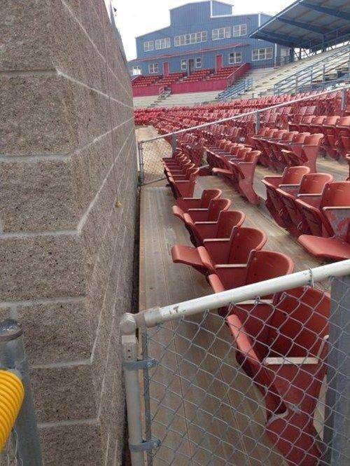 penonton stadion apes (cheezburger.com)
