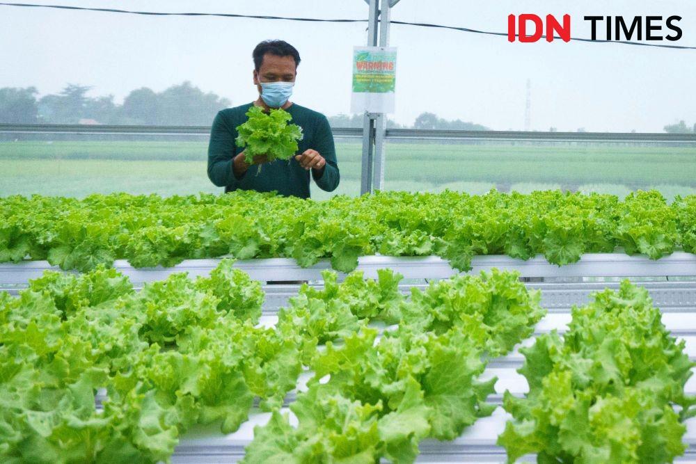 Millennial Punya Potensi Besar Kembangkan Sektor Pertanian Indonesia