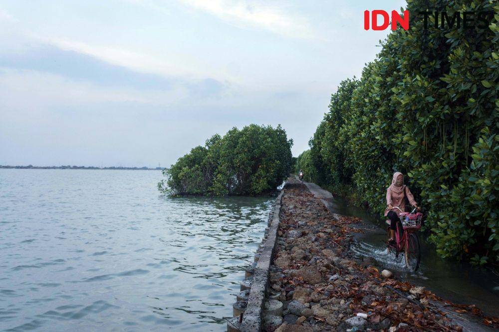 Seorang buruh jahit wanita bersepeda melintasi genangan banjir rob di Demak, Jawa Tengah. BPJAMSOSTEK memberikan perlindungan jaminan sosial kepada pekerja bukan penerima upah (BPU), melalui program Jaminan Kecelakaan Kerja (JKK) dan Jaminan Kematian (JKM) dengan iuran bulanan yang terjangkau. (DN Times/Dhana Kencana)