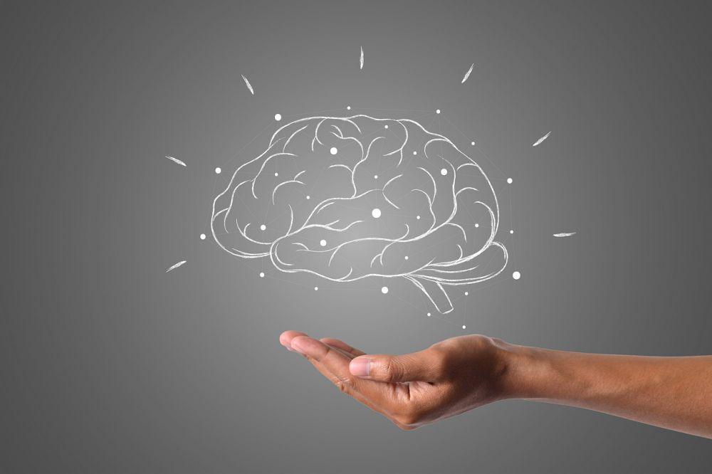 6 Nutrisi untuk Otak, Bantu Dukung Fungsi Optimalnya