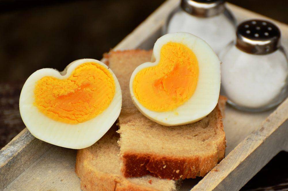 ilustrasi telur (pixabay.com/congerdesign)