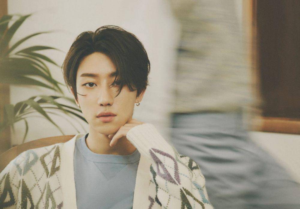 The8 SEVENTEEN (pledis.co.kr)
