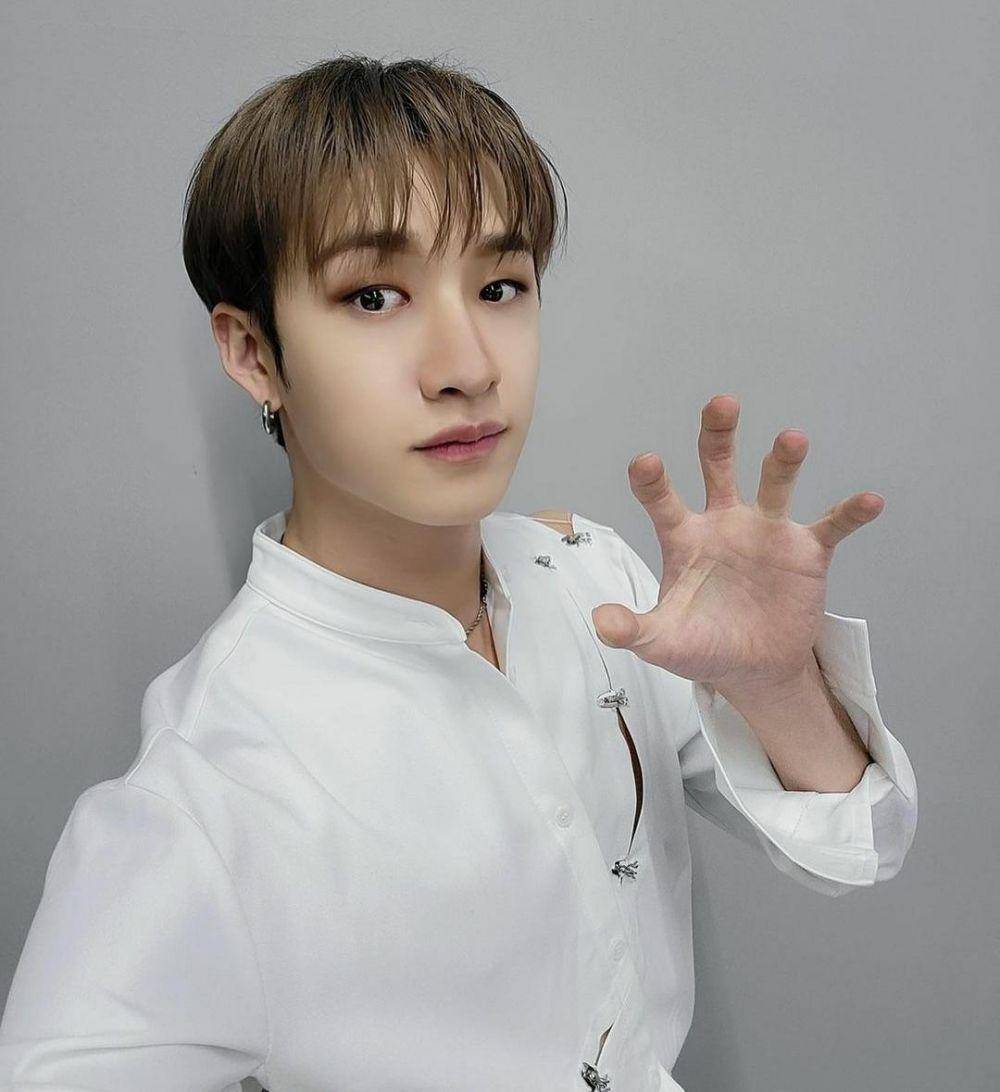 Bang Chan Stray Kids (instagram.com/straykids_official_jp)