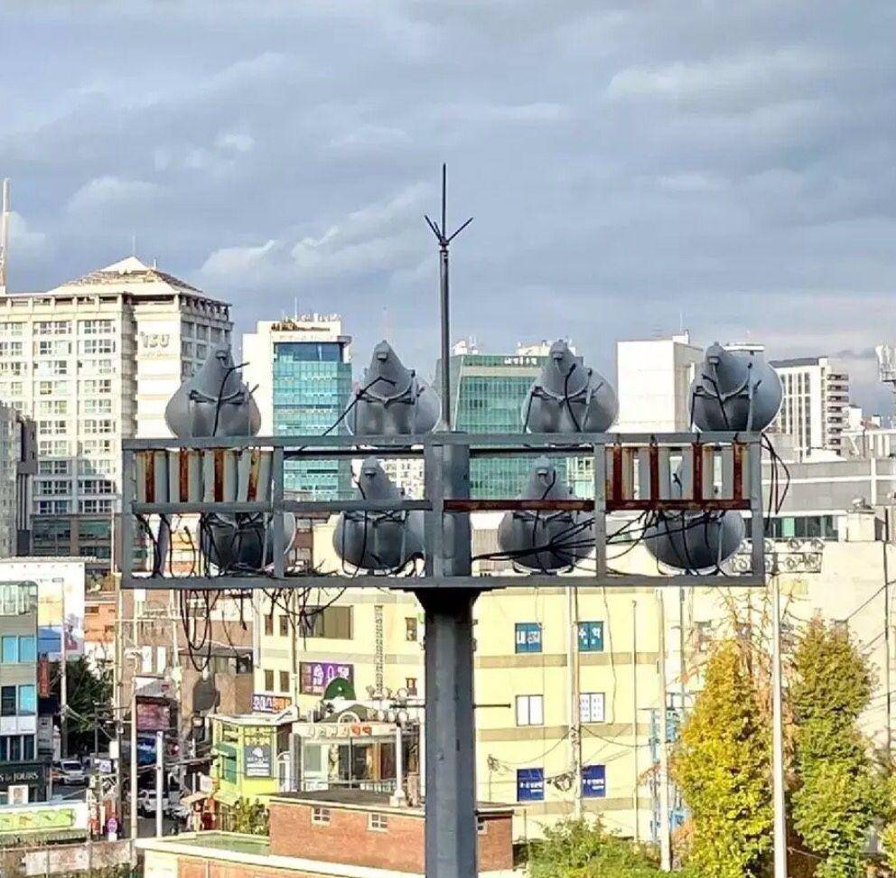 foto ilusi optik hewan (reddit.com/NOCHNOY_)