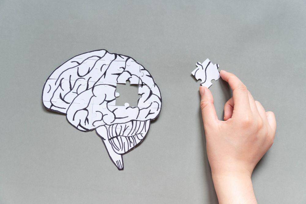 ilustrasi otak manusia (mydr.com.au)