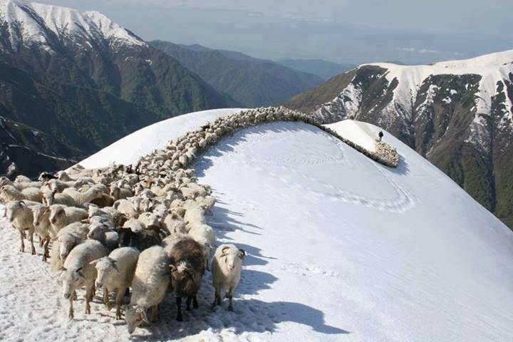 Leepa Valley (pakistantoursguide.pk)