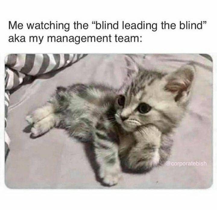 meme perjuangan milenial di tempat kerja (instagram.com/corporate_millennial_memes)