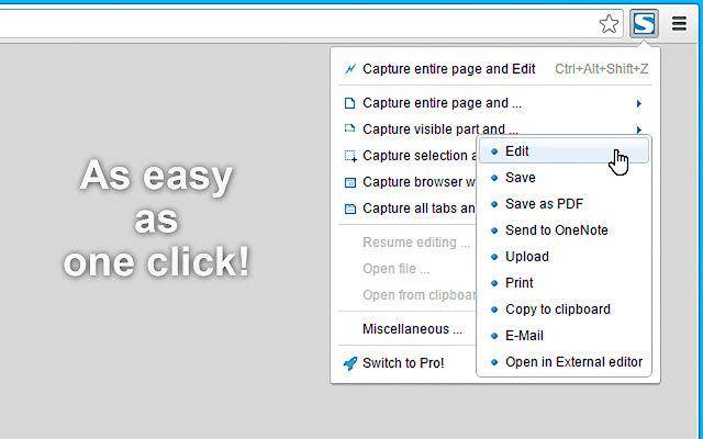 FireShot (chrome.google.com)