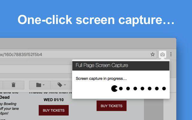 GoFullPage (chrome.google.com)