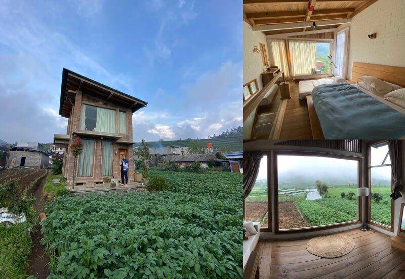 Penginapan Seru di Sekitar Dieng (twitter.com/wiwitto)