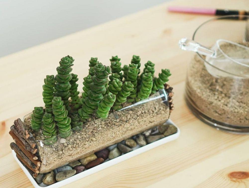 10 Video Tutorial DIY Pot dari Plastik Bekas
