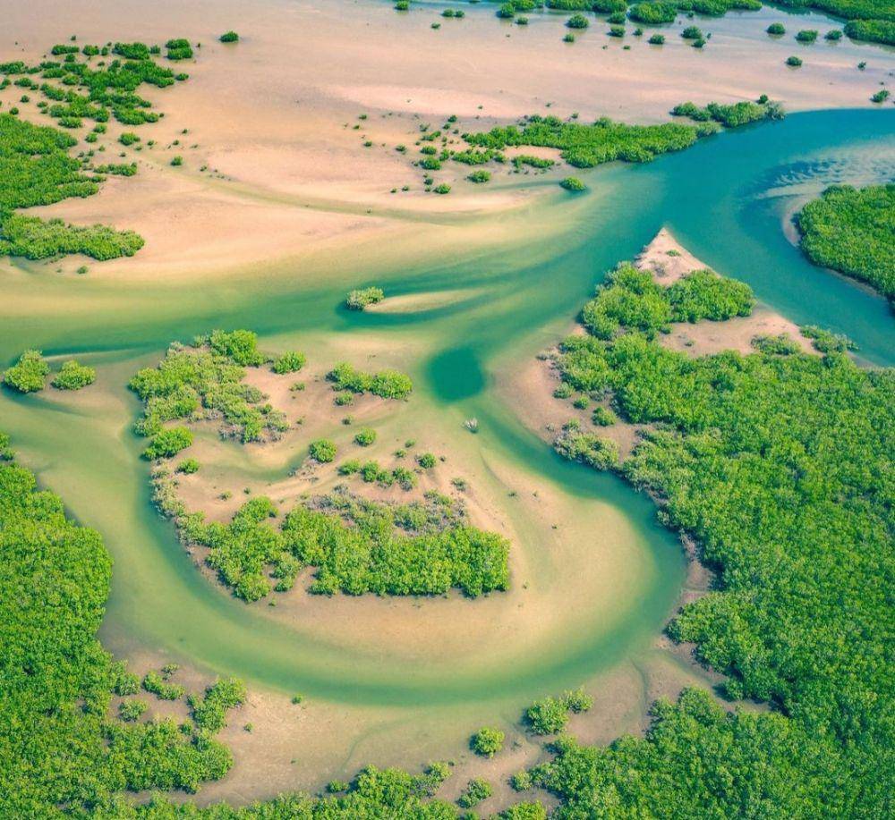 Saloum Delta National Park (instagram.com/african_mag)