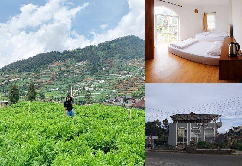 Penginapan Seru di Sekitar Dieng (instagram.com/chintyaadw)