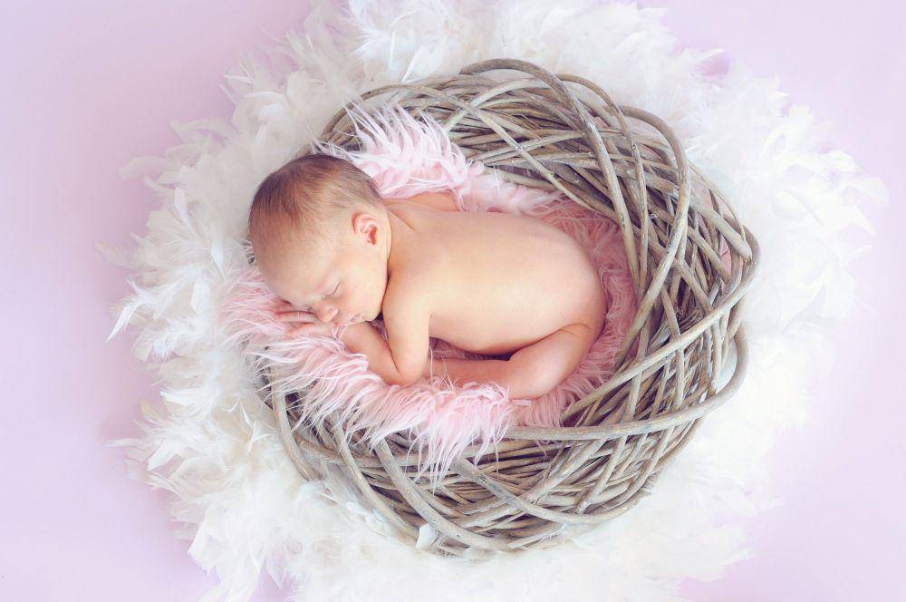 ilustrasi bayi (pixabay.com/Tawny Nina Botha)