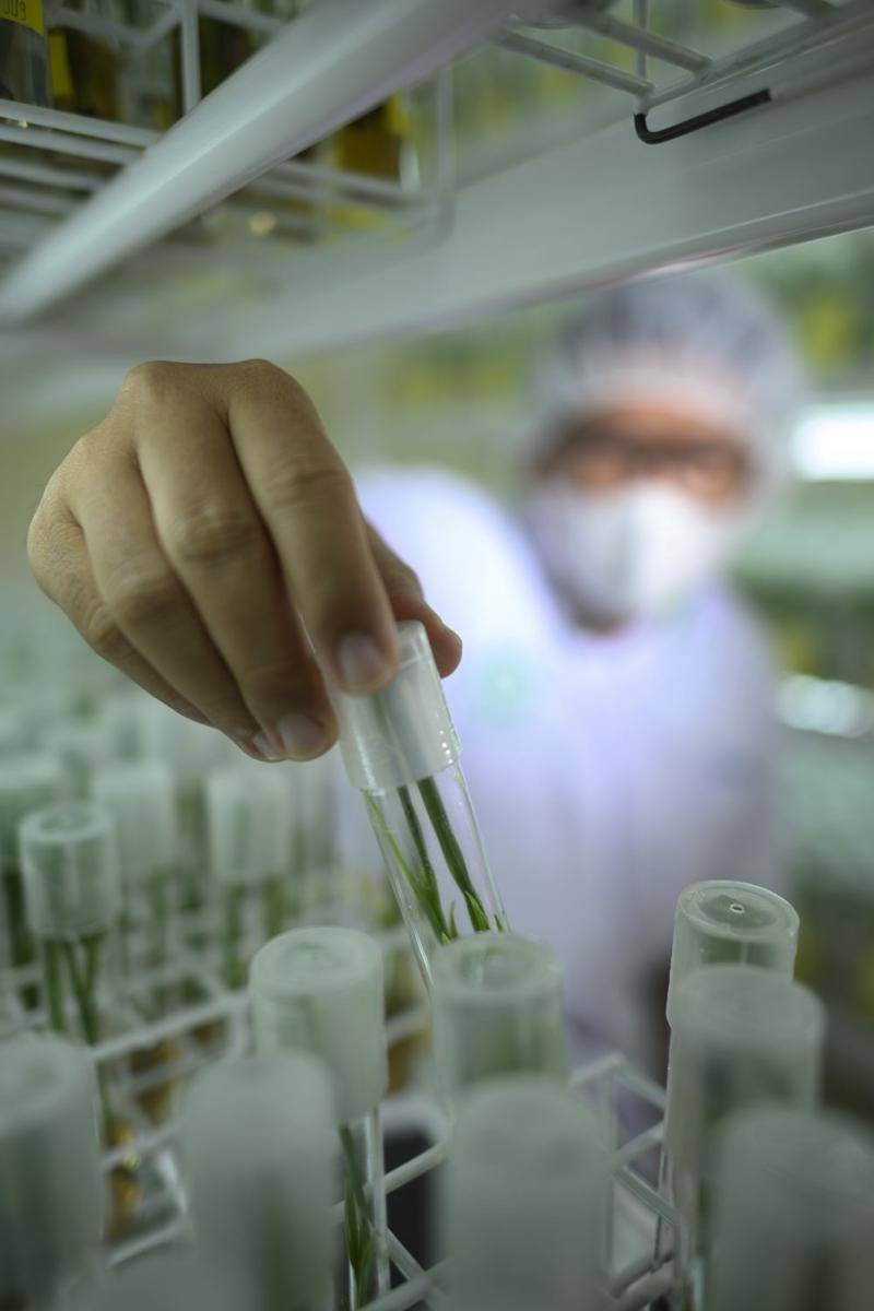 Unit Research and Development Asian Agri di Bukit Tinggi. (asianagri.com)