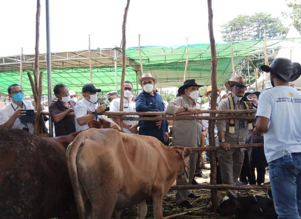 Menteri Pertanian RI Syahrul Yasin Limpo hadiri Panen Pedet Sapi Kerbau Komoditas Andalan Negeri (SIKOMANDAN) di Lapangan Merdeka Karang Endah, Terbanggi Besar, Lampung Tengah, Rabu (8/12/2021). (Dok Humas Pemprov Lampung).