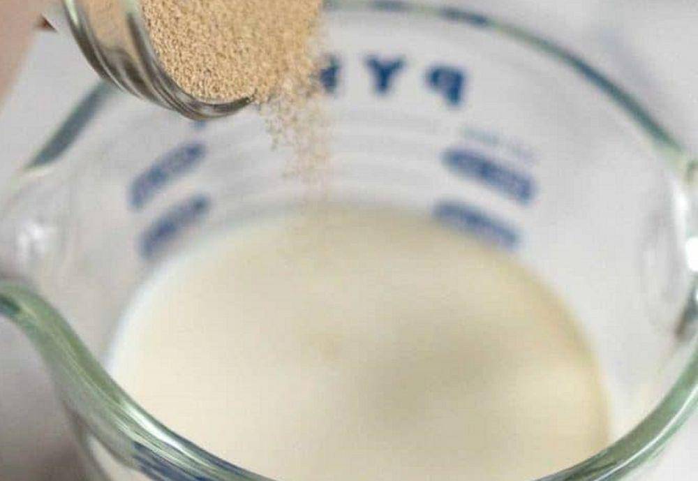 ilustrasi menambahkan ragi pada susu (pudgefactor.com/Chula King)