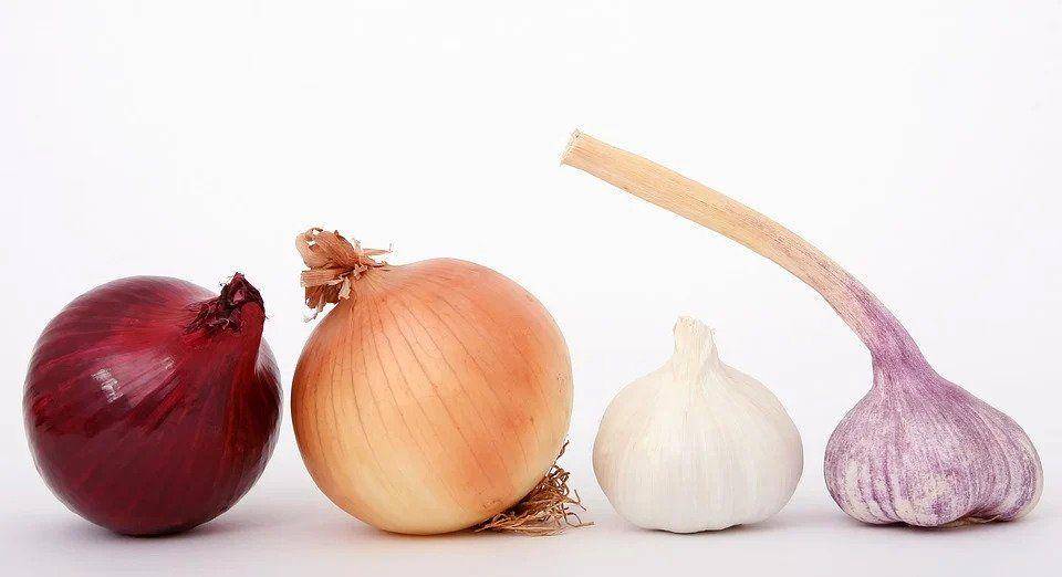 macam-macam jenis bawang (pixabay.com/Shutterbug75)