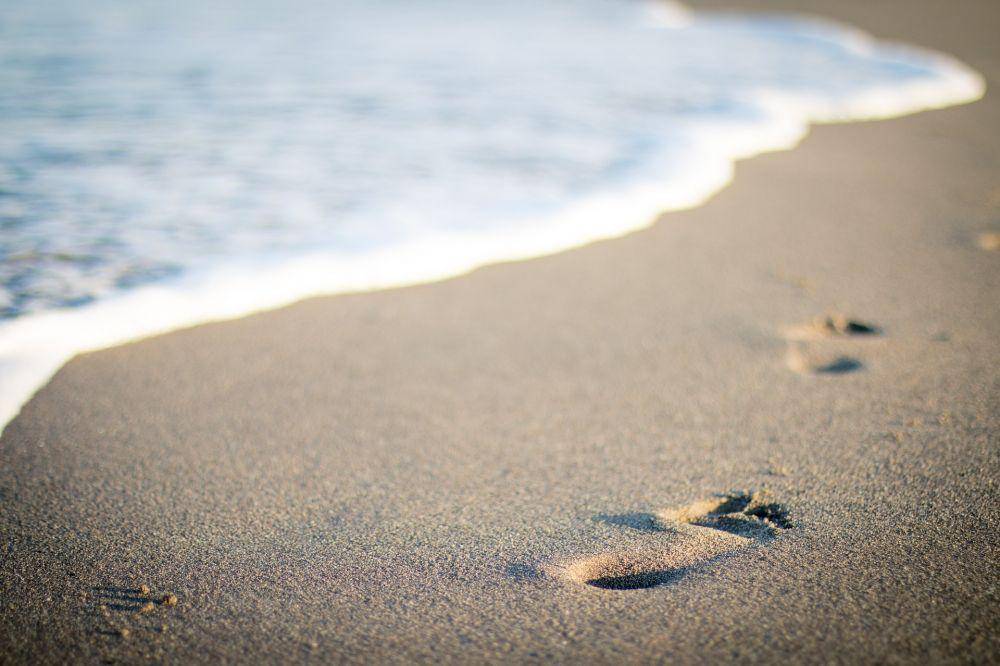ilustrasi tepi laut (pixabay.com/Pexels)