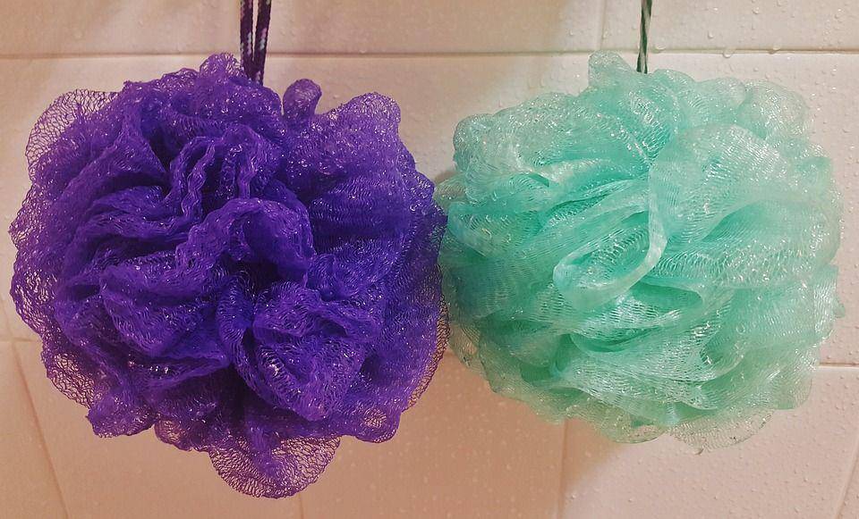 shower puff (pixabay.com/Brett_Hondow)