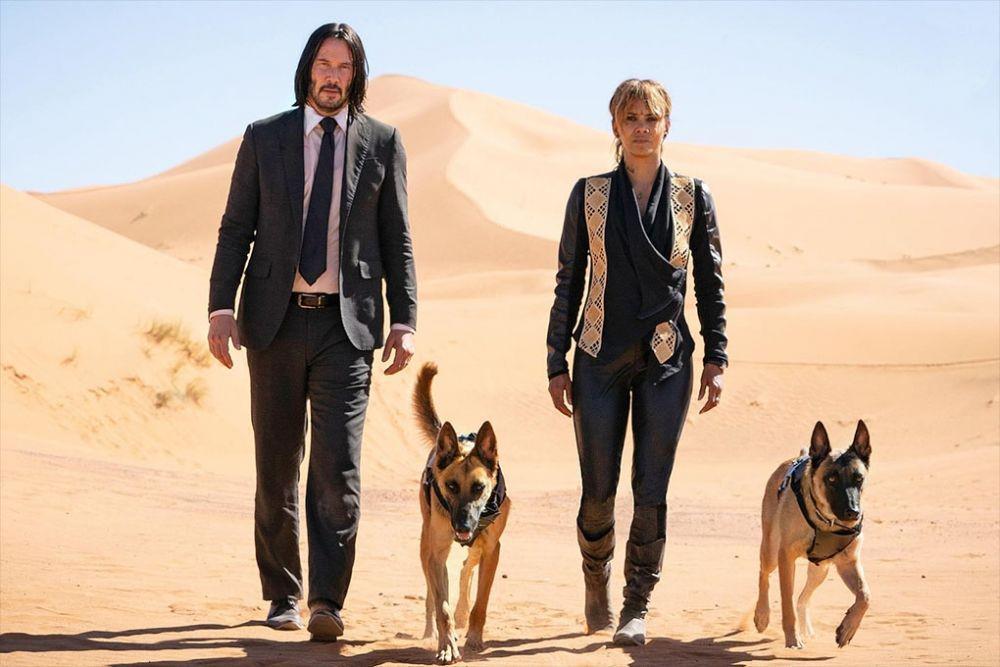 15 Drama dan Film yang Rilis Eksklusif di Lionsgate Play Desember 2021