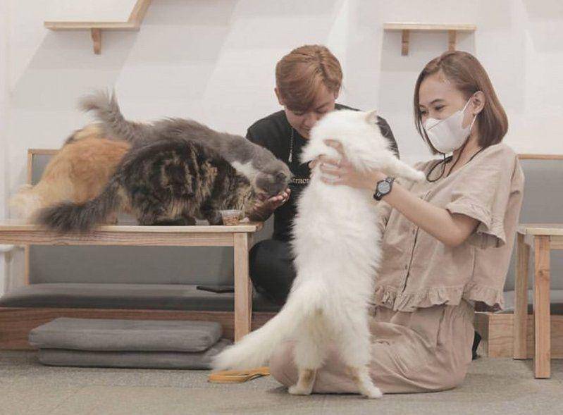 Paw-Paw Caffe (instagram.com/pawpaw_cafe)