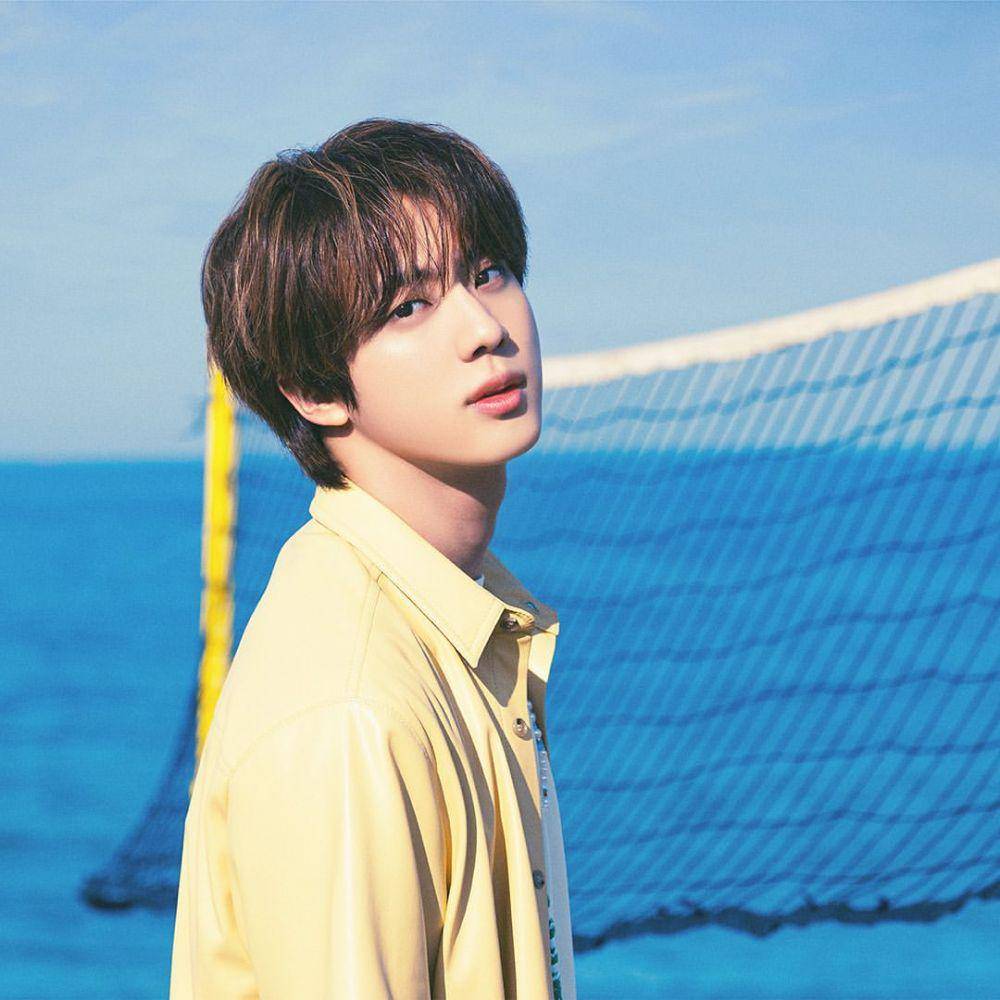 Jin BTS (instagram.com/bts.bighitofficial)