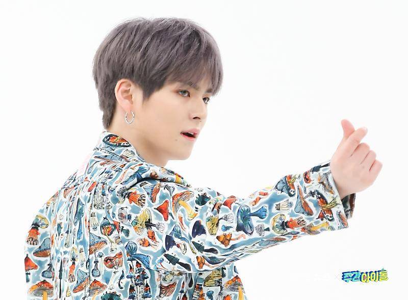 Yoshi TREASURE (post.naver.com/엠스플뉴스)